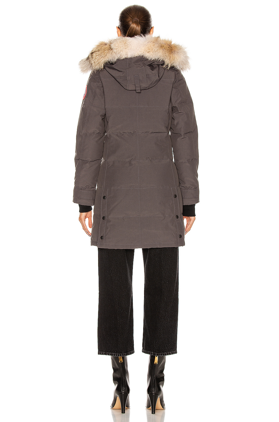canada goose
