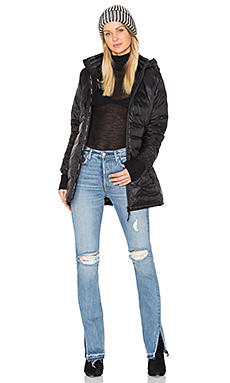 Canada Goose