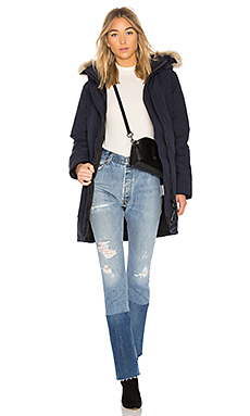 Canada Goose