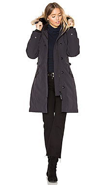 Canada Goose