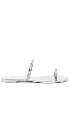 Giuseppe Zanotti