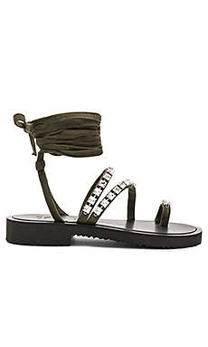 Giuseppe Zanotti