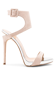 Giuseppe Zanotti