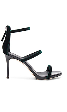 Giuseppe Zanotti