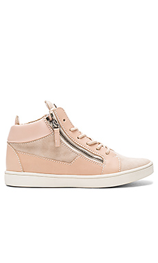 Giuseppe Zanotti