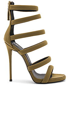 Giuseppe Zanotti