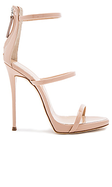 Giuseppe Zanotti
