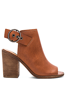 Steve Madden
