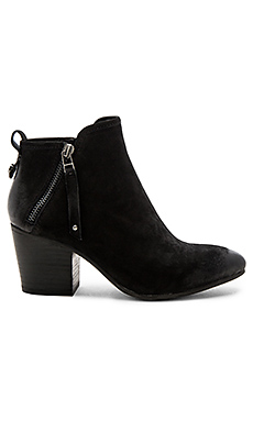 Steve Madden