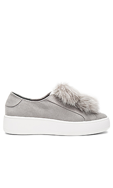 Steve Madden