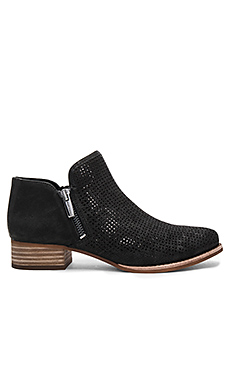 Vince Camuto