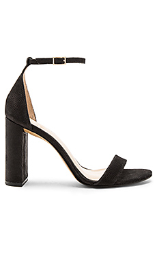 Vince Camuto