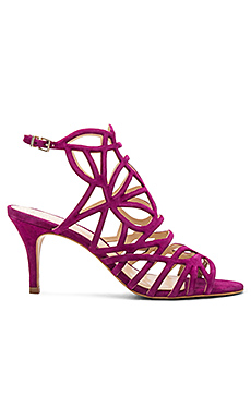 Vince Camuto