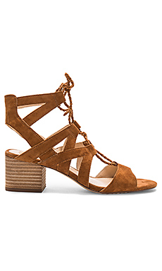 Vince Camuto