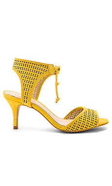Vince Camuto