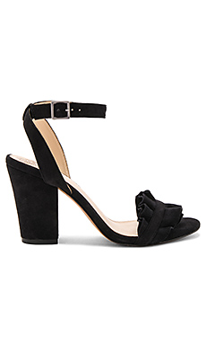 Vince Camuto