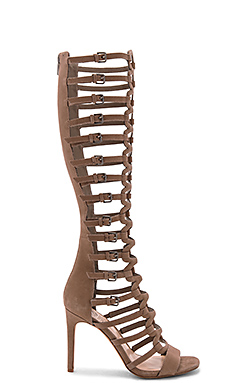 Vince Camuto