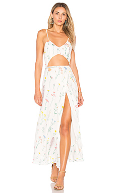 Wildfox Couture